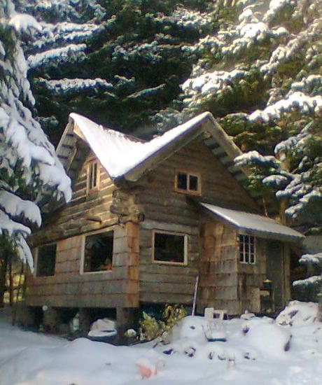 Zeiger cabin 2011