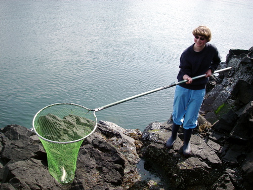 Aly shows her netted herring