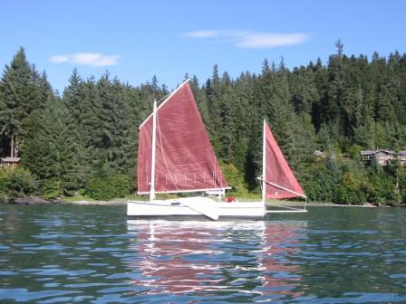 SELKIE with tanbark sails