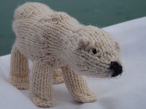 Polar Bear