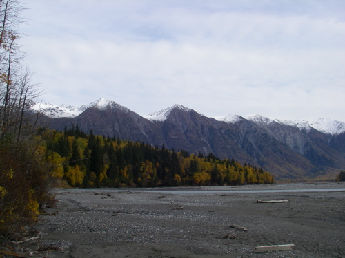 Tsirku River Marge in Autumn