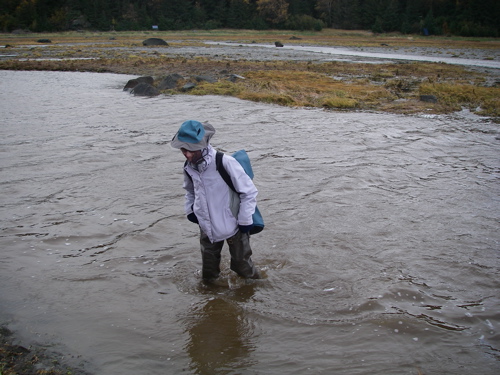 testing the hipboots