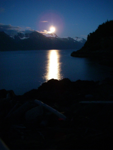 moonlight on the water