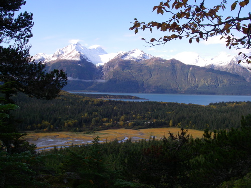 Mud Bay Autumn 1