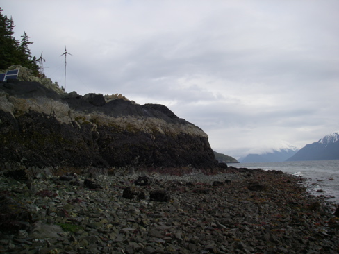 Low Tide looking North