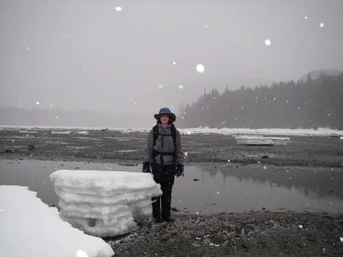 pancake ice in the bay