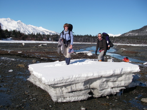 Mud Bay ice floes on a sunny day