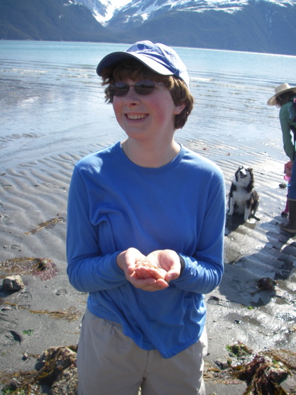 beachcomber's discovery