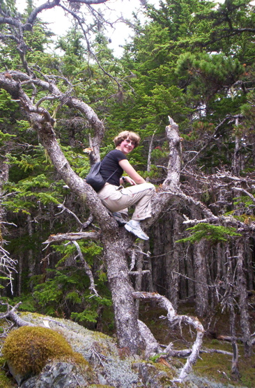 tree climbing