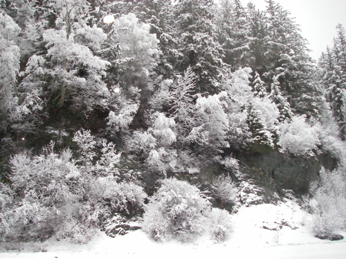 Letnikof Cove