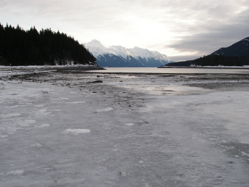Mud Bay ice