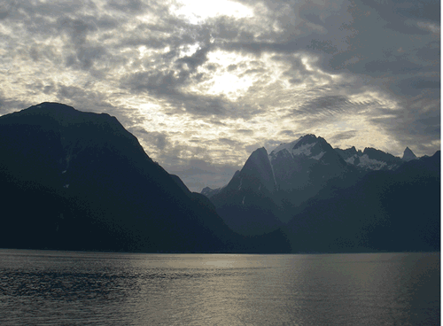 animation: photo-to-logo